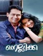 Nellikka (2015) Malayalam Movie